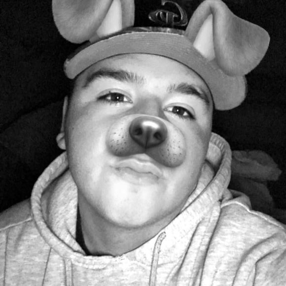 Meet your Posher, Gilbert - Picture 1 of 1